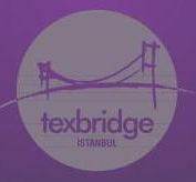 texbridge logo